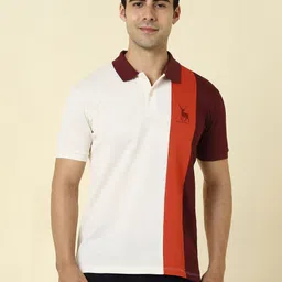 Allen Solly Men Colourblocked Polo Collar Applique T-shirt-picture-30