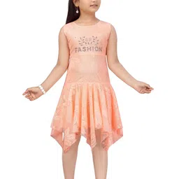 YK Embellished Net Fit & Flare Dress-picture-35