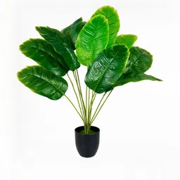 Dekorly Black Plastic Money Plant Artificial Flowers & Plants With Pot image 2