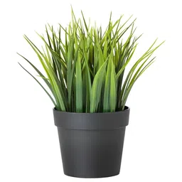 paperi Green & Black 8 Pieces Rosmarinus Artificial Plants With Pot image 4