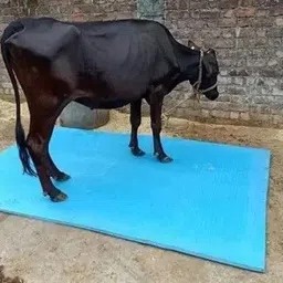 ursus Cow Mat, Feeding Mat, BPA Free, Easy Clean, Dishwasher Safe, Waterproof (BLUE) Cow, Hamster, Dog, Guinea Pig, Rabbit Pet Mat-picture-42