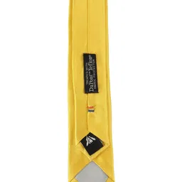 Alvaro Castagnino Men Yellow Skinny Tie image 3