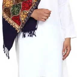 SNandCo Pashmina, Wool Embroidered Men Shawl image 4