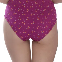 Samvar Women Multi Briefs image 4
