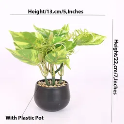Home Bloom Green 1 Pieces Artificial Plant With Pot image 4