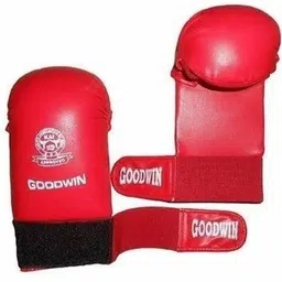 goodwin Karate Equipment Martial Art Gloves image 1