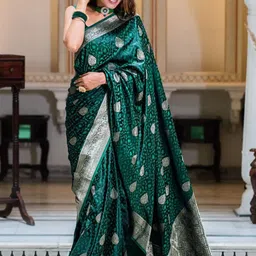 CaniBani Ethnic Motifs Zari Silk Blend Handloom Banarasi Saree-picture-35