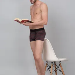 Cantabil Pack of 2 Striped Trunks MBRF00041_GREY-Grey image 2