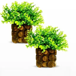 Dekorly Green Plastic Artificial Flowers & Plants With Pot-picture-31