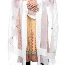 A R SILK DUPATTA HUB Woven Design Organza Dupatta with Gotta Patti image 3