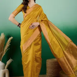 Leeza Store Woven Design Zari Organza Banarasi Saree-image-53