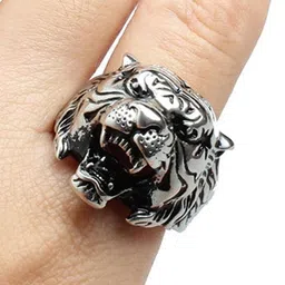 Vaiseema Unisex Silver-Plated Ring-image-11