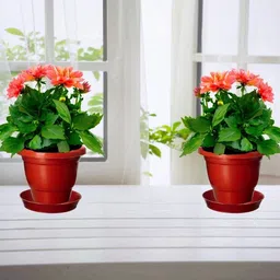 Virajsanchi 3-Pcs Brown Round Light Weight Planters image 5