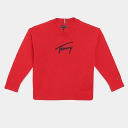 Tommy Hilfiger Boys Cotton Embroidered Pullover-image-1