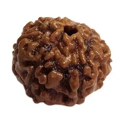 RAVIOUR LIFESTYLE Brown Natural No Mukhi Rudraksh Pendants-image-13