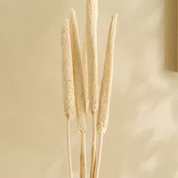 Home Centre Lets Garden Nest White 5 Pieces Artificial Bazra Sticks-image-70