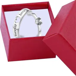 Teeragaj Set Of 2 Stone-Studded Couple Adjustable Finger Rings-image-46