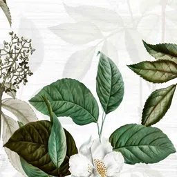 BELLA TRUE White & Green 2 Pieces Floral Ripple Fold Window Curtain image 2