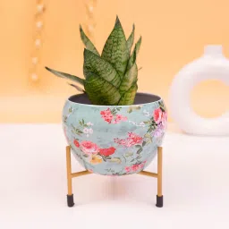kyari Minimalistic Green Floral Apple Pot with Stand image 1