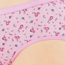 Bodycare Pack Of 3 Premium Assorted Floral Cotton Outer Elasticated Basic Briefs - 5213 image 3