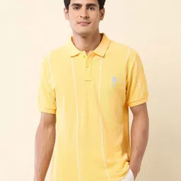U.S. Polo Assn. Summer Splash Striped Polo Collar Pure Cotton Slim Fit T-shirt image 3