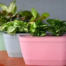 eha Set Of 4 Blue & Green Textured PlantersPot image 2