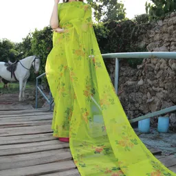 BAESD Floral Printed Organza Saree-picture-23