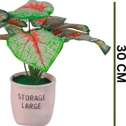 Dekorly Plastic Money Plant Artificial Flowers & Plants With Pot image 2