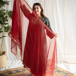 THE INDIAN ETHNIC CO Kota Doria Cotton Dupatta-image-61