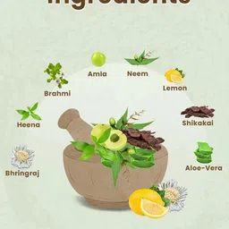 DEEMARK Set Of 4 Kesh Power Ayurvedic Shampoo - 100 ml Each image 2