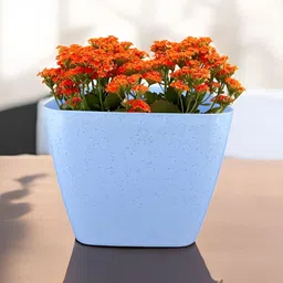 GARDEN'S NEED 5-Pcs Blue Textured Planters image 3