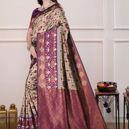 Dinesh Ethnic Traditional Wear Women Ethnic Motifs Woven Design Zari Banarasi Saree-picture-41