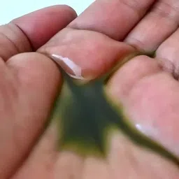 adivasi Hair Oil with Traditional Herbs for Stronger Roots and Faster Growth Hair Oil image 2