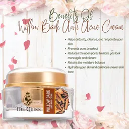 THE QUINN Willowbrak Anti-Acne Cream - 30 g image 3