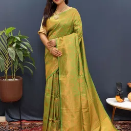 amirat Ethnic Motifs Woven Design Zari Pure Silk Banarasi Saree-picture-18