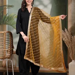 Clora Creation Striped Embellished Sequinned Net Dupatta-picture-15