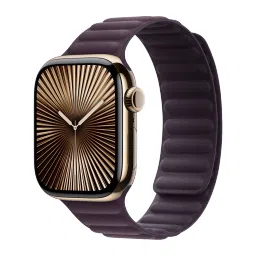 Apple Link Polyester & FineWoven Magnetic Strap for Apple (38mm / 40mm / 41mm / 42mm, S / M) (Security & Comfort, Blackberry) image 2