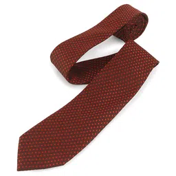 TADWILL Men Checked Broad Tie image 2