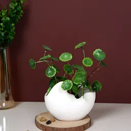 TAYHAA White Ceramic Cloud Embrace Sculpted Planter-picture-43