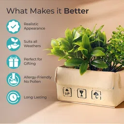 The Better Home Green & Beige Artificial Foliage Plants With Pot image 3