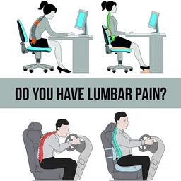 facilaid Chair Backrest Support Orthopaedic Pillow Used for Lower Back Pain and Support Back / Lumbar Support image 5