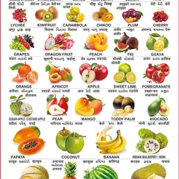spectrum Set of 5 Educational Large Wall Charts : ( Wild Animals , Birds , Fruits , Vegetables & Transport ) image 3