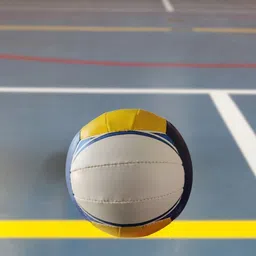 vyom Professional Volleyball for Training and Match Volleyball - Size: 5-picture-25