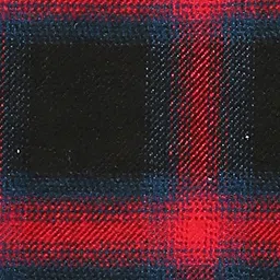 Pepe Jeans Checked Spread Collar Cotton Tailored Jacket image 2