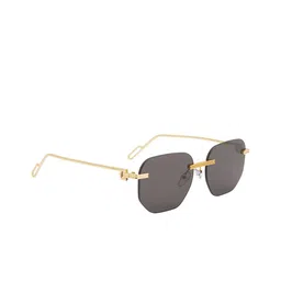 Ted Smith Unisex Aviator Sunglasses with UV Protected Lens image 4