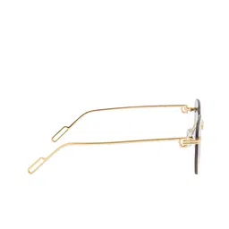 Ted Smith Unisex Aviator Sunglasses with UV Protected Lens image 5