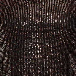 wild U Plus Women Black Embellished Net Top image 3