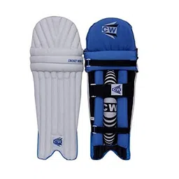 CW Tournament Cricket Training Kit Right & Left Hand Full Cricket Kit for Girls & Boys Cricket Kit with All Things in Backpack Kit Bag No Wheels (4 for Age 8-9 Year, Left Hand) image 5