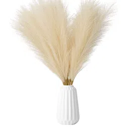 BS AMOR Set Of 2 Beige Pampas Grass Artificial Flowers Plant image 3