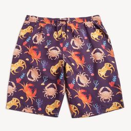 Marks & Spencer Boys Conversational Printed Mid Rise Shorts-picture-25